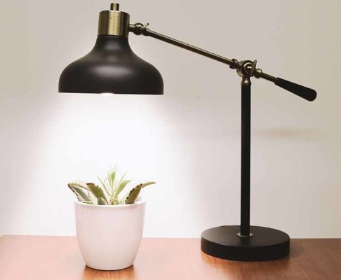 indoor-artificial-plant-lighting