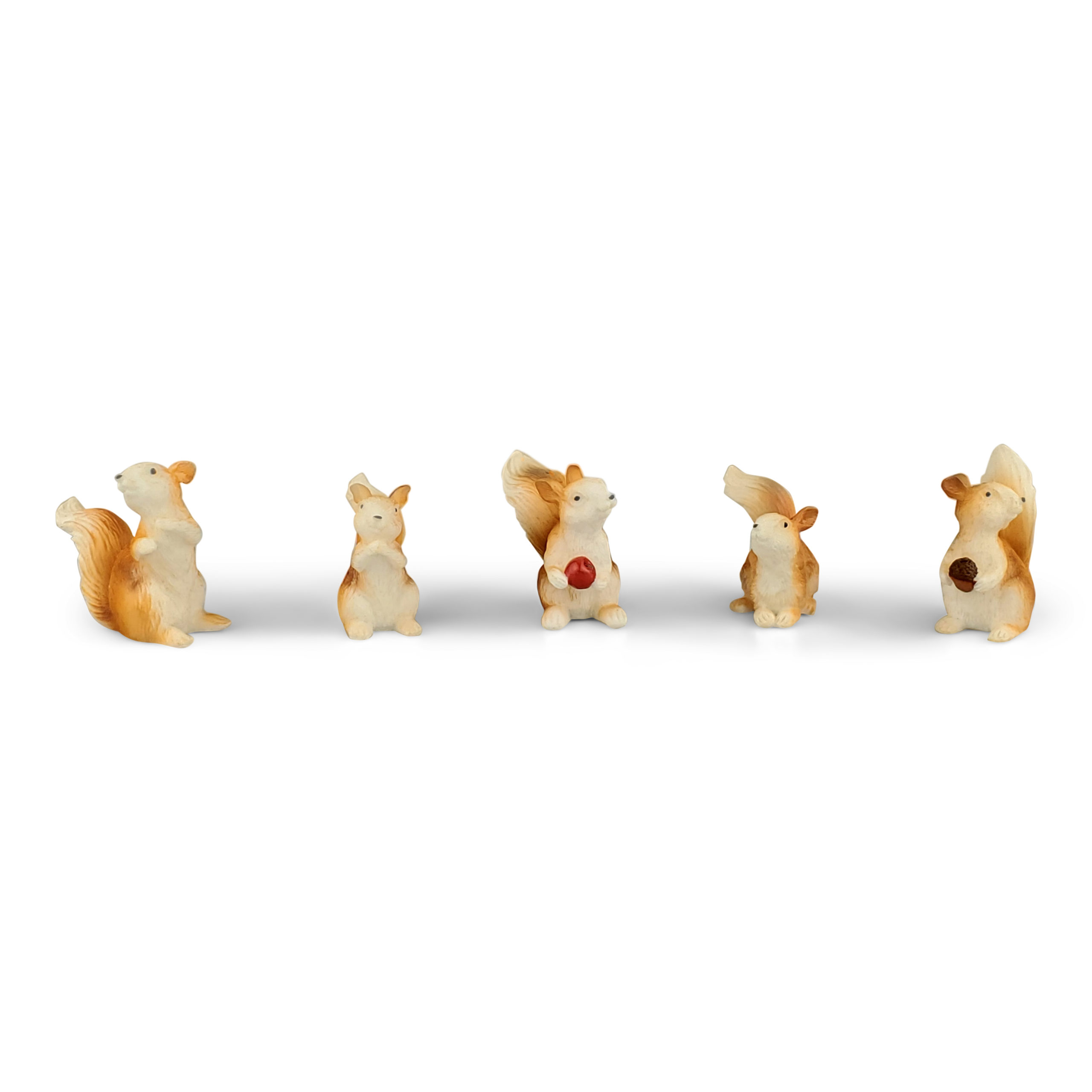 Miniature Squirrel (8 Varieties) - Koncove